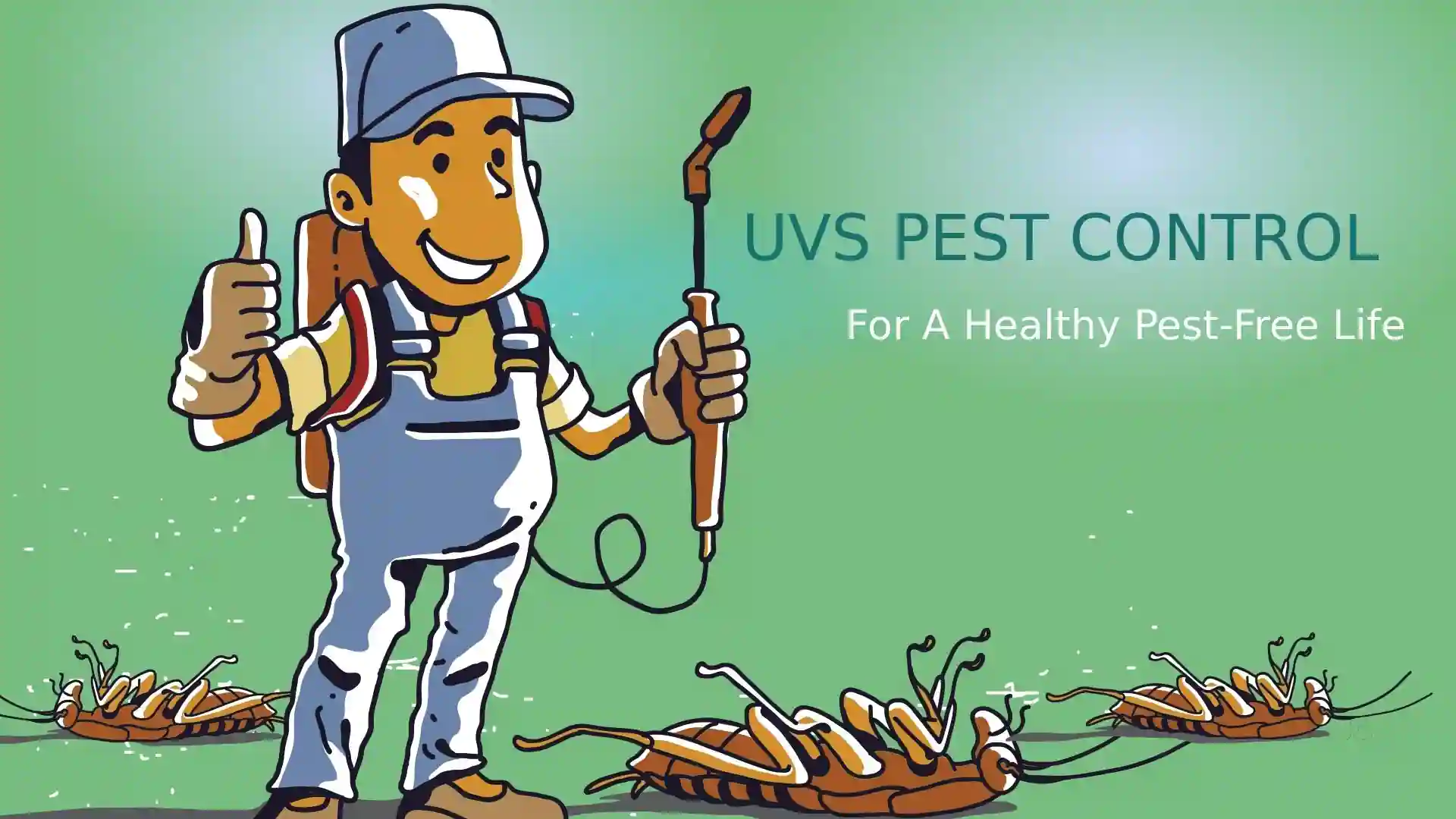Pest control services in eastern suburbs