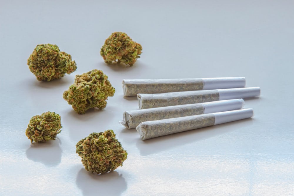 How to Identify the Best Delta-8 THC Pre-Rolls: Key Features and Benefits