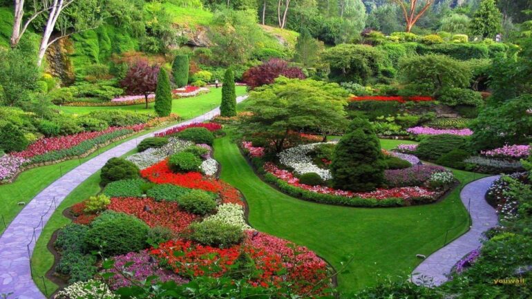 Protect Property Beauty Using Lawn Services Dedicated To Consistent Growth And Care